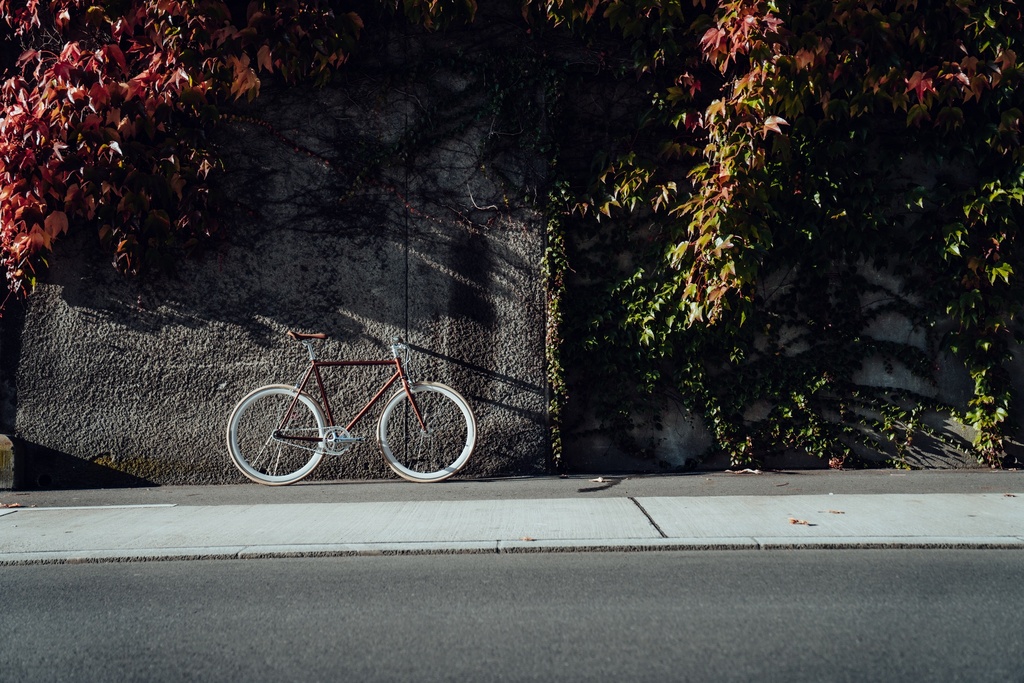 Fixie Bike - Singlespeed