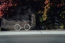 Fixie Bike - Singlespeed