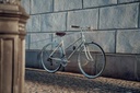 16Speed Lady City